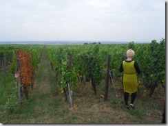 alsace 067 alsace 067