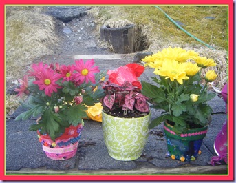 pottedflowers