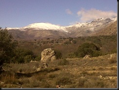 IMG00005-20100130-1153