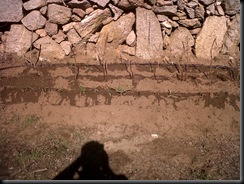 IMG00006-20100130-1354