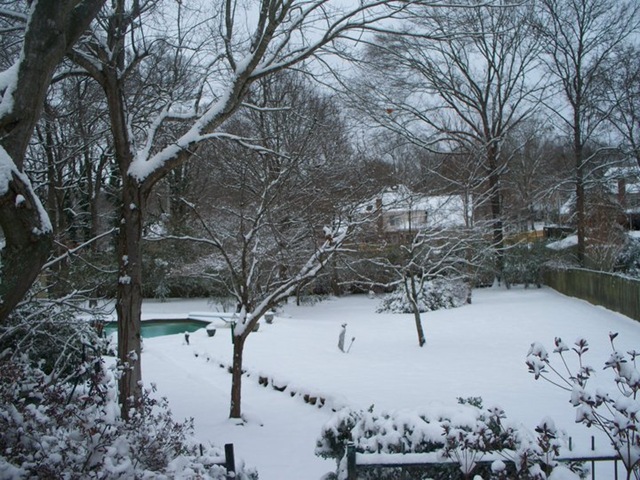 [backyard snow[3].jpg]