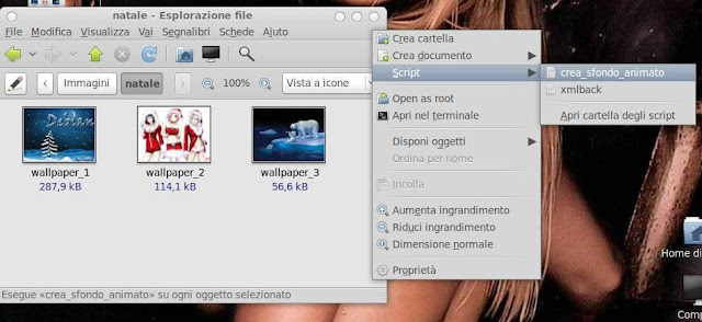 immagine selezione script