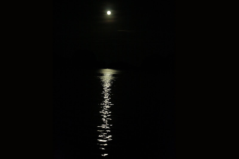 Moonlight Moonlight