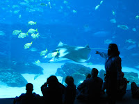 IMG_2119.JPG
