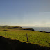 Dingle