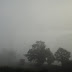 The Fog rolls in