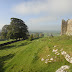 DSC01614.JPG