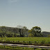 DSC01660.JPG