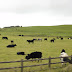 County Sligo