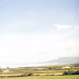DSC03149.JPG