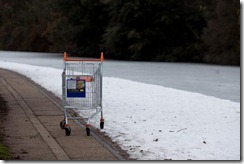 this shopping cart looked pretty out of place, probably brought by a drunk from the local Sainsbury