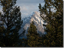 IMG_0117