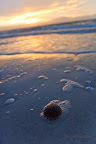 12-25-09_2460
