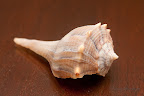 12-25-09_2805