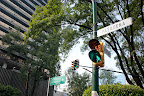10-23-09_0461