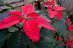 12-23-09_1260