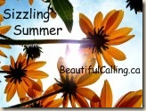 Sizzling Summer Logo