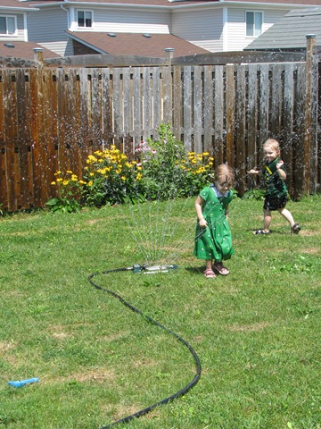[IMG_32262.jpg]