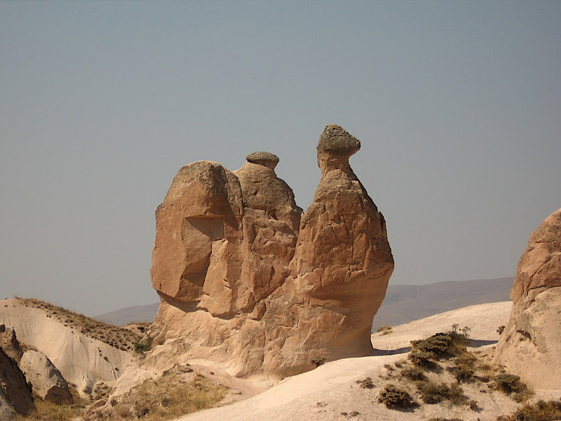 La Cappadocia IV: el camell