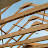 DSCF5085.JPG