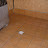 DSCF3075.JPG