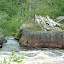 Kengisforsen