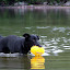 DSCF8907.JPG