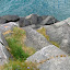 DSCF9097.JPG