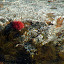 DSCF9857.JPG