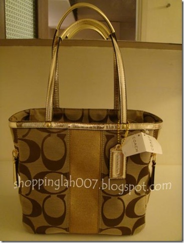 COACH-bag-13280 (1a)