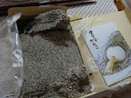 ふるや古賀音庵　黒胡麻和三盆