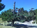 28-08-09_1109.jpg