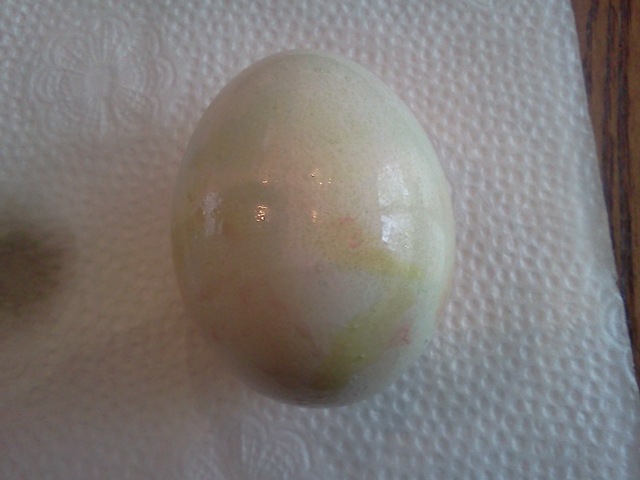 [egg[3].jpg]