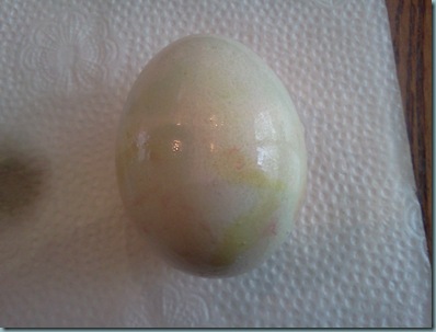 egg