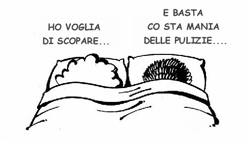 vignetta lui e lei a letto. Lei dice: ho voglia di scopare. Lui risponde: E basta co sta mania delle pulizie