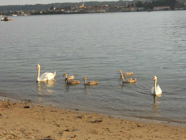 [DSCN06513.jpg]