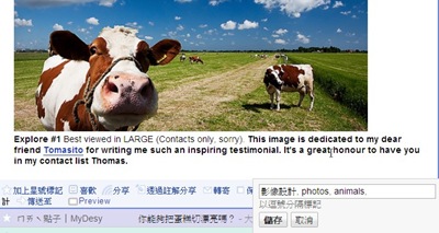 Google Reader_Tag Google Reader_Tag