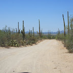 IMG_7151.JPG