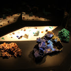 IMG_7205.JPG