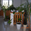 DSCN1245.JPG