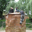 _mini-IMG_0289.JPG