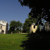 _mini-P5264270.JPG