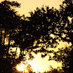DSC08240.JPG