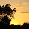 DSC08242.JPG
