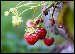 september 049