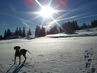 2011-01-05 12.38.24.jpg Photo