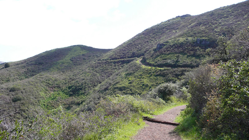 mysterious trail mysterious trail