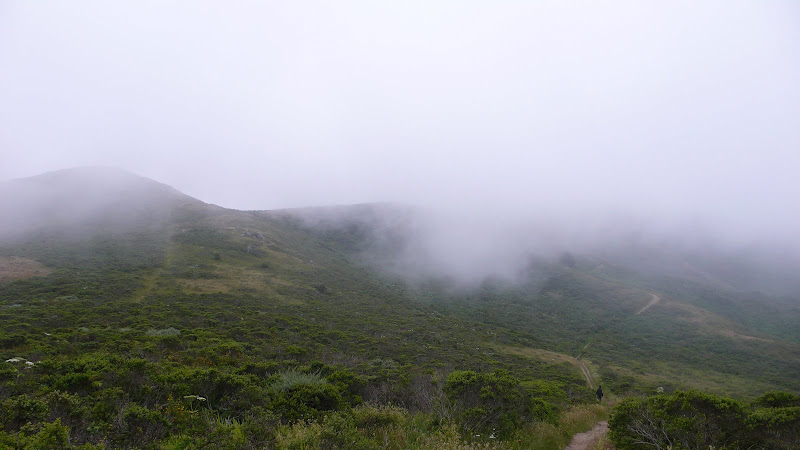 hikng in the fog hiking in the fog