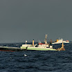 IMG_46871.jpg