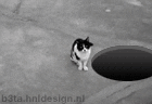 [fallingdowngz4[3].gif]